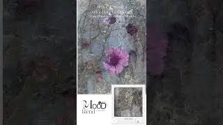 Turn your Photo into a Work of Art with my Original Overlay Textures- A Quiet Walkthrough-Florals
