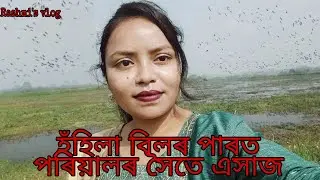 A beautiful picnic spot in Nagaon Hahila Bil(Jalah) #Rashmi'svlogjajori #picnic  #family