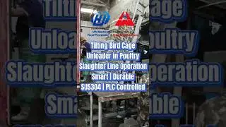 Automatic Tilting Bird Cage Unloader for Poultry Chicken Slaughter Processing Line |  HW Machinery