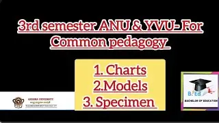 ANU And YVU 3rd semester Pedagogy - Common part: Chart, Model and Specimen