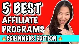 5 Best Affiliate Programs For Beginners In 2020
