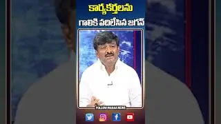 కార్యకర్తలను గాలికి వదిలేసిన జగన్ | Btechravi | ysjagan | Pulivendula | Mahaa News
