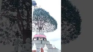 Divine Pillar - Jain Heritage - Madhugiri, Karnataka