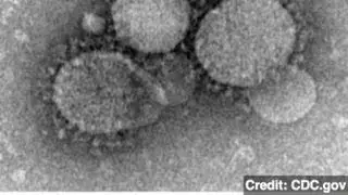 MERS Coronavirus Is 'Threat to the Entire World'
