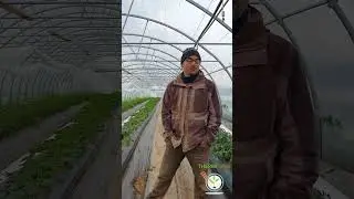 Syst&egrave;me Bioclimatique Thermitube : 