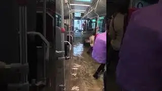 🚌🌧️ Autbo&uacute;s de Tussam completamente anegado por el temporal que est&aacute; arrasando Sevilla