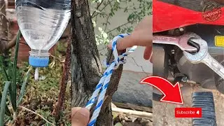 Most-Watched DIY Videos of 2025