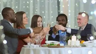 Wine Toast At Celebration Stock Video