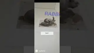 Augmented Reality Educational Flash Cards