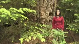 Capilano River Regional Park Profile