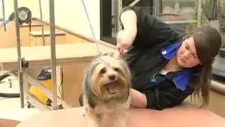 Michigan Humane Society and PETSMART