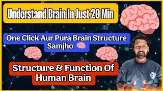 How Human Brain Works? 🧠| Structure & Function of Brain Simplified 🧠 Biology Chapter || Easiest Way