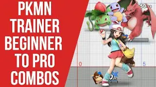 PT Beginner to Pro Combos