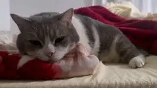 Your sleeping pose is so cute!