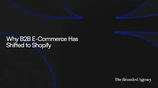 Shopify для B2B: как оптовые магазины используют индивидуальное ценообразование и порталы.