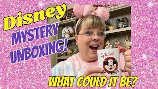 Main Street Treat Co. DISNEY PARK Snack Subscription Box Unboxing