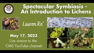 An Introduction to Lichens - Lauren Re'