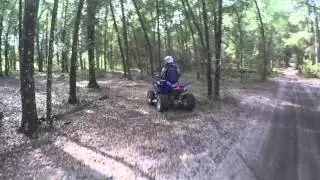 RMB trails through woods