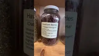 Visiting an herb shop! Wild Terra, Los Angeles CA