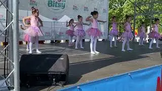 Minunatele dansatoare / Show Dance Art