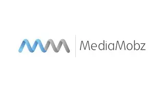 MediaMobz Overview