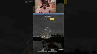 STERLET TROHPY AKHTUBA #russianfishing4 #gaming #fishing #viral #fyp