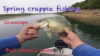 Spring crappie fishing Bull shoals lake 5-4-23 livescope