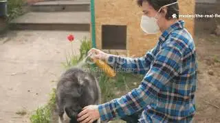 Stop Fleas Fast The Real DIY Solution
