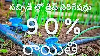 సబ్సిడీ బిందు సేద్యం వ్యవస్థ || ap government gives drip irrigation system in subsidy || drips||