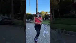 Luna star running away #corvette #funny #corvettecorvette #makingmoney #prank #earningmoney #c8