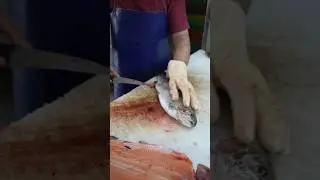 Fastest Trout Gutting Ever &ndash; No Cutting Around Bones