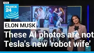 No, Elon Musk is not building a &lsquo;robot wife&rsquo; &bull; FRANCE 24 English