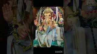 ice Mahal youth festival vibe #shorts #song #video #views #photography