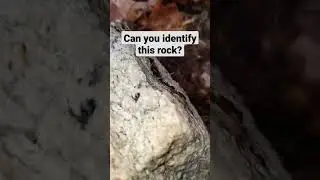 Can you Guess this rock Type? #shorts #minerals