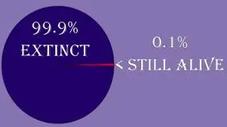 extinction psychology vs biology