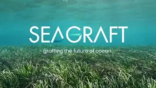 Seagraft - Terra Carta Design Lab finalist 2024 | Royal College of Art