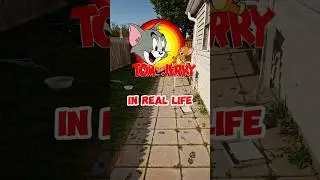 🐱 TOM AND JERRY in Real Life! | AI-Generated