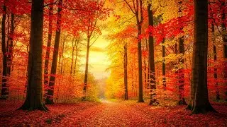 🌿 Peaceful Autumn Days ☕ &mdash; gentle piano harmonies for emotional rest.