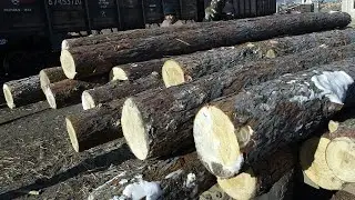 U.S. tariffs on Canadian lumber essentially a ‘tax on the U.S. consumer,’ analyst says
