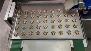 bakery machine, filled cookies line WhatsApp no 9614844819/9572770584