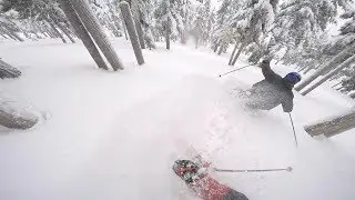 Mount Washington Alpine Resort | Gold Rush Glades