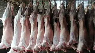 Bakar Mandi Lahore || Mutton Goats Mandi || Mutton Meat Market Lahore || Haidari Food