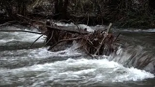 Whychus Creek roars through Sisters as flooding threat lingers