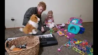 animals emergency hospital visits