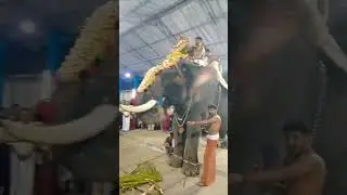 ഓം ശ്രീ കൃഷ്ണായ നമഃ #devotionalhits #trendingshort #hindudevotionalsongsmalayalam#chirakkal