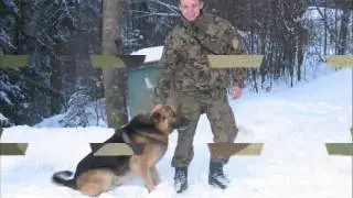 Bośnia i Hercegowina SFOR/EUFOR