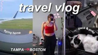 TRAVEL VLOG! ✈️ flying home to Massachusetts w/ my cat *pack + prep, chit chat, anxiety & stress*