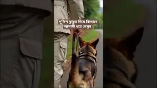 পুলিশ কুকুর দিয়ে কিভাবে আসামী ধরে দেখুন | Watch how police catch a suspect with a dog | #dog
