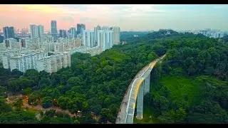 The Henderson Waves Bridge + DJI Mavic Pro + DJI Osmo Mobile
