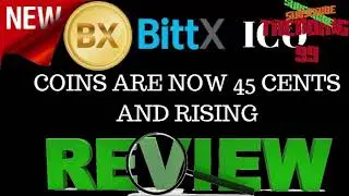 Bitt X coin works with Investment in Bitcoin